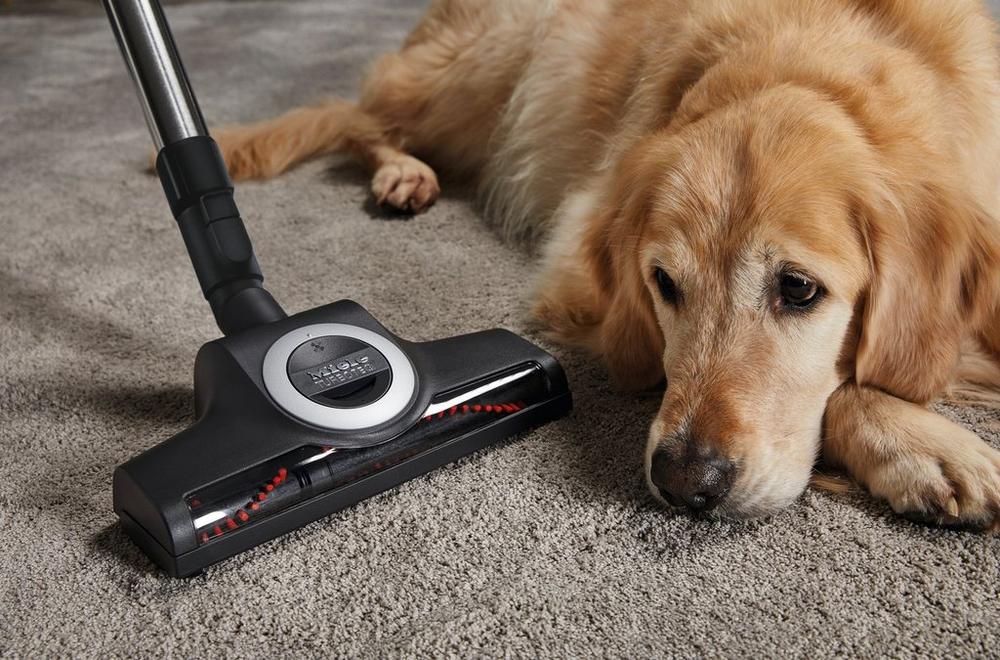 Miele C2CATDOG Complete Cylinder Vacuum Cleaner - Red