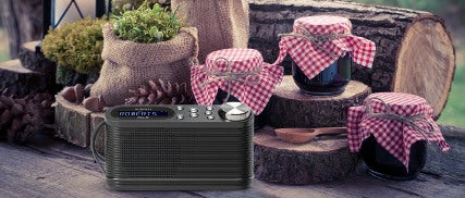 Roberts Play10 DAB Radio